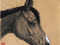 Posselt's horse - drawing